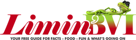 Limin BVI Logo